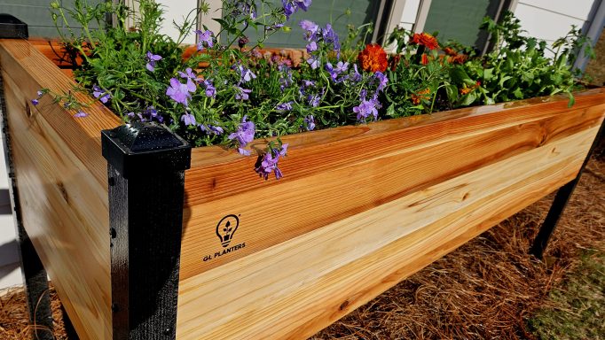 Raised Garden Bed Mistakes Raised Garden Bed Mistakes: What Not to Do for Healthy Plants
