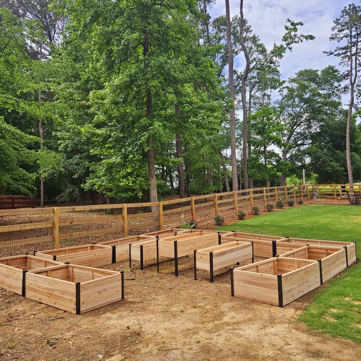 Grow Vegetables in Raised Beds Better to Grow Vegetables in Raised Beds or in the Ground?