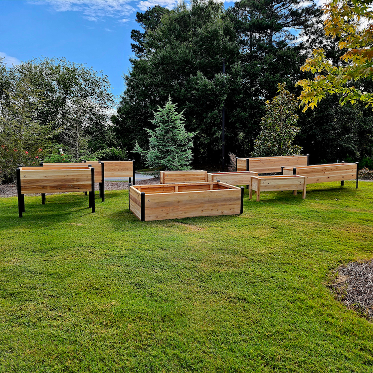 raised garden bed