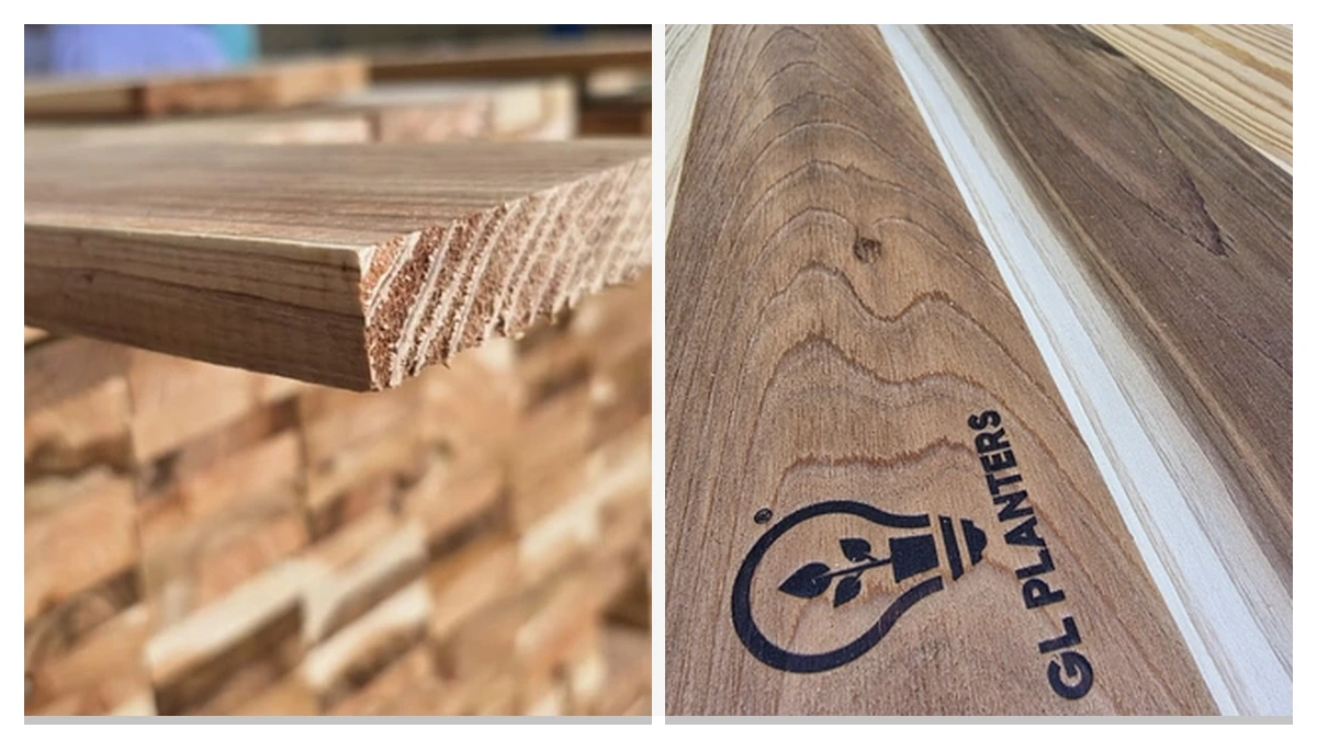 Best Wood for Raised Garden Beds (2026) Cedar vs Metal
